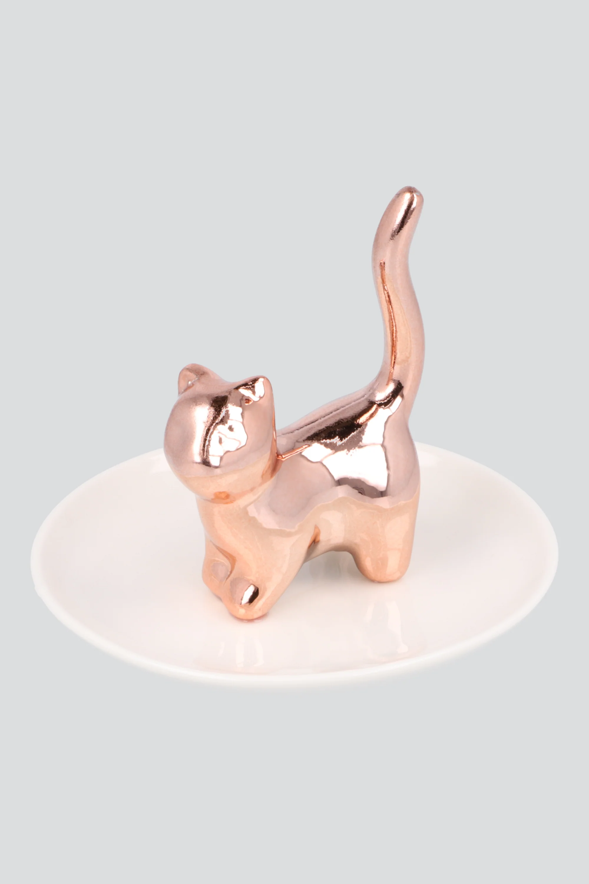 alhajero gatito