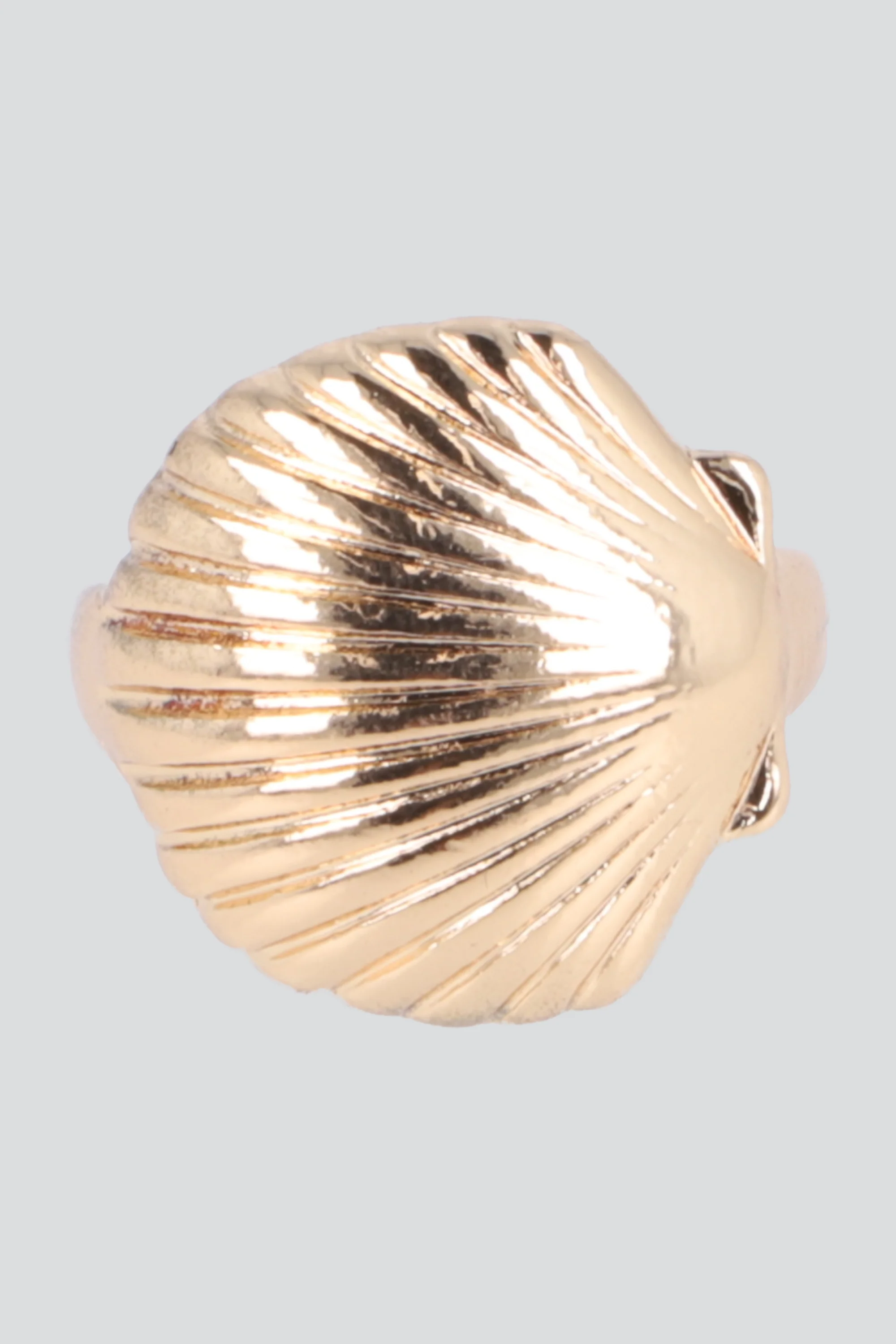 Anillo concha metal - Image 2