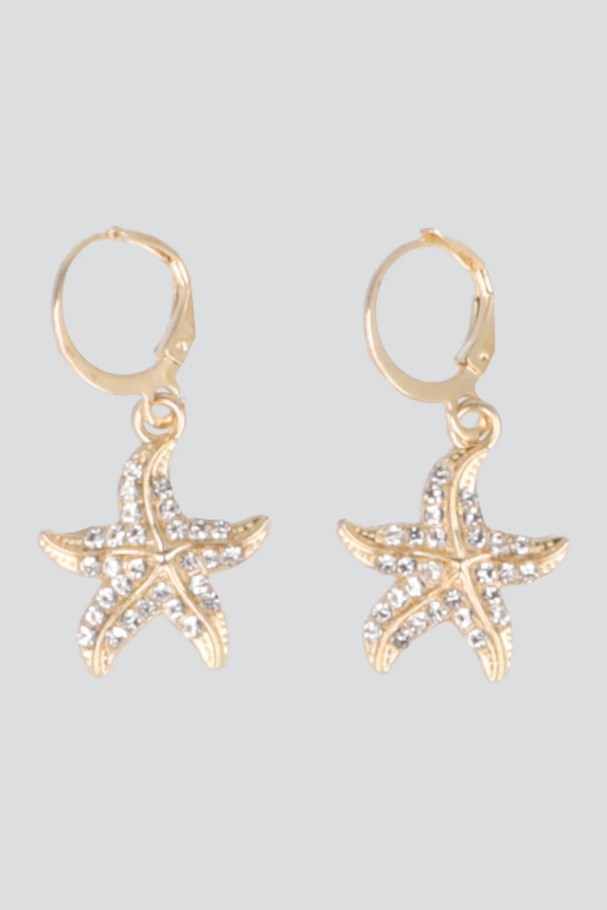 ARRACADAS ESTRELLA DE MAR BRILLOS