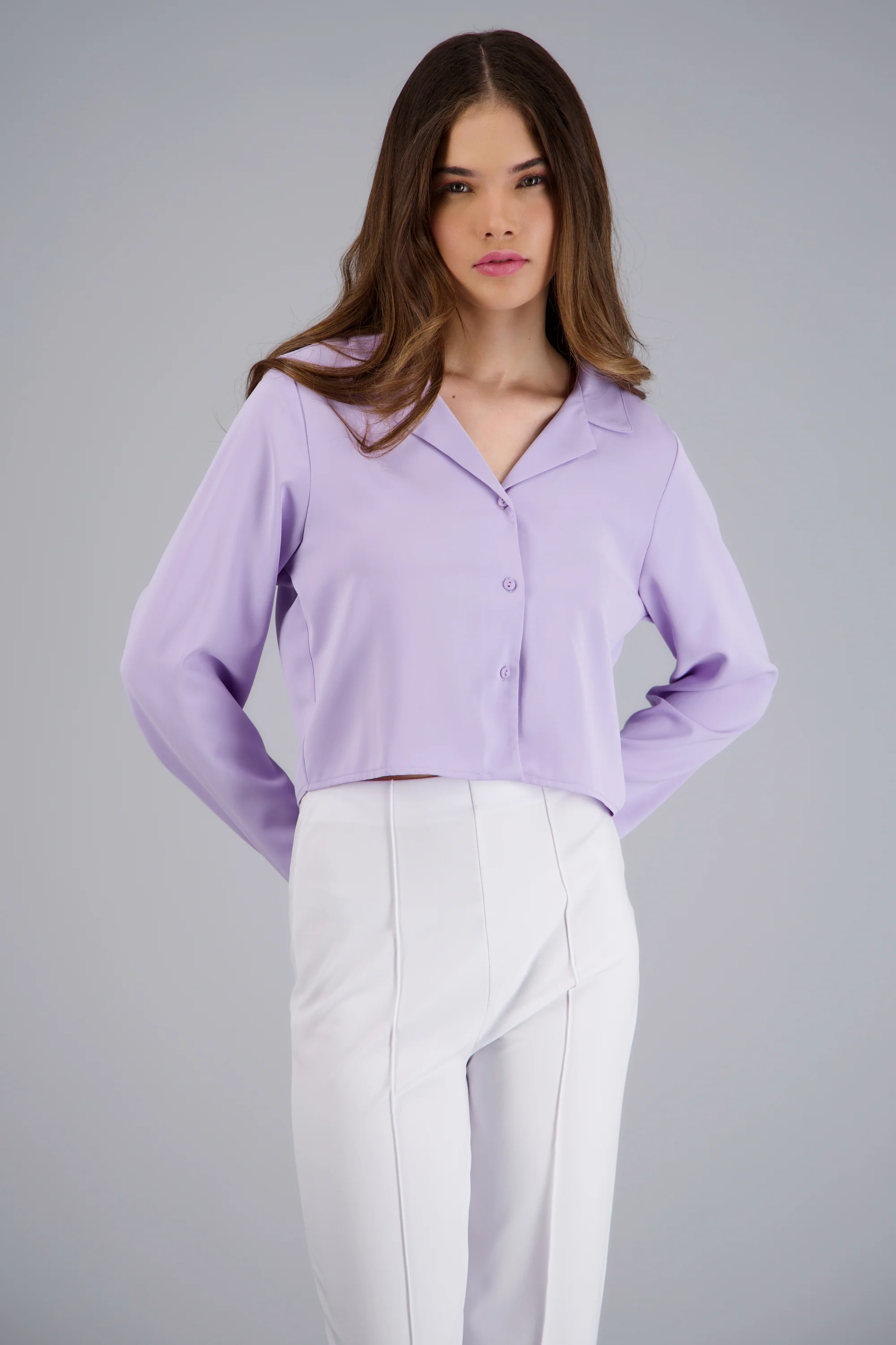 Camisa lisa manga larga