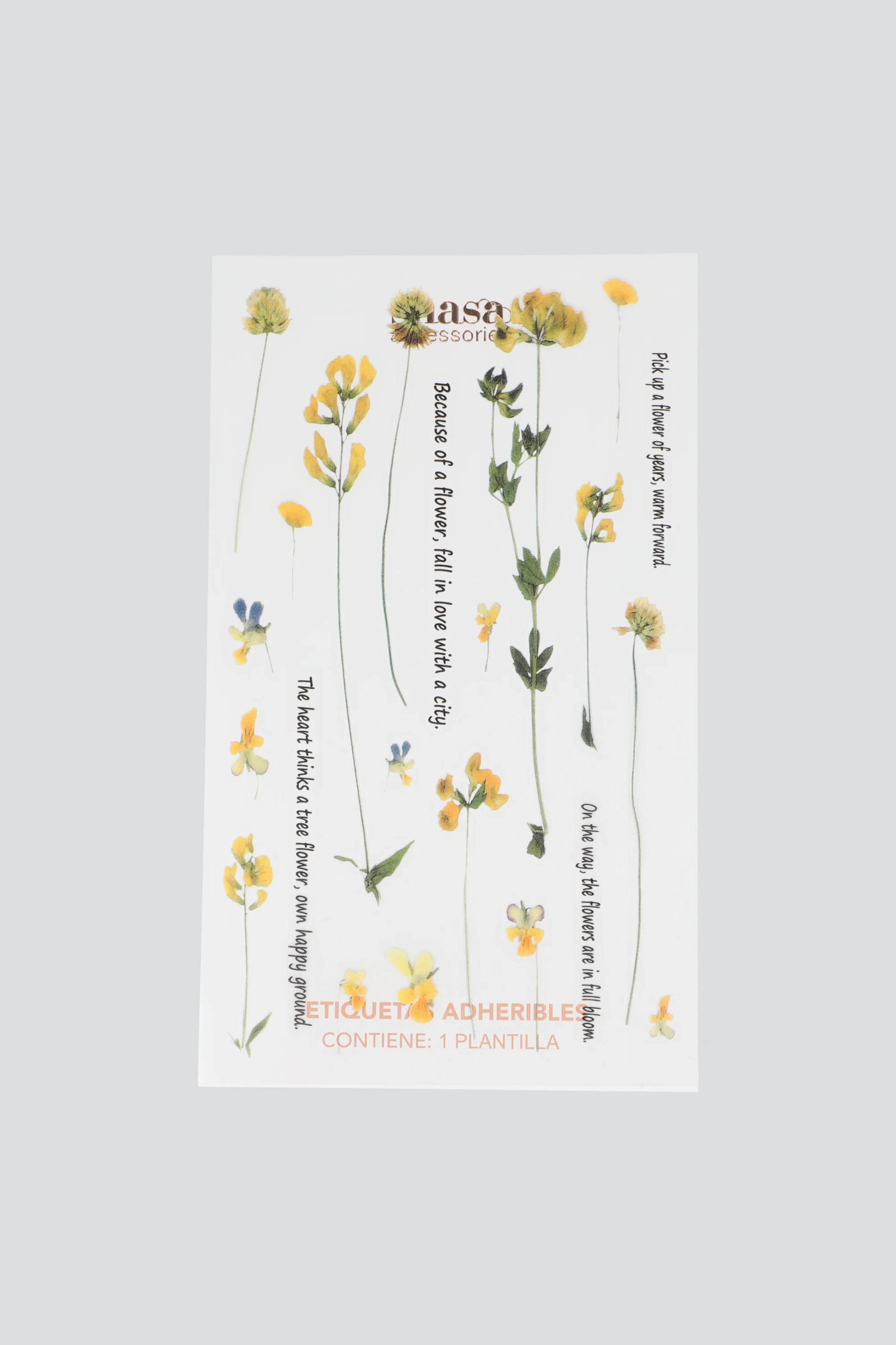 Plantilla stickers plantitas acetato