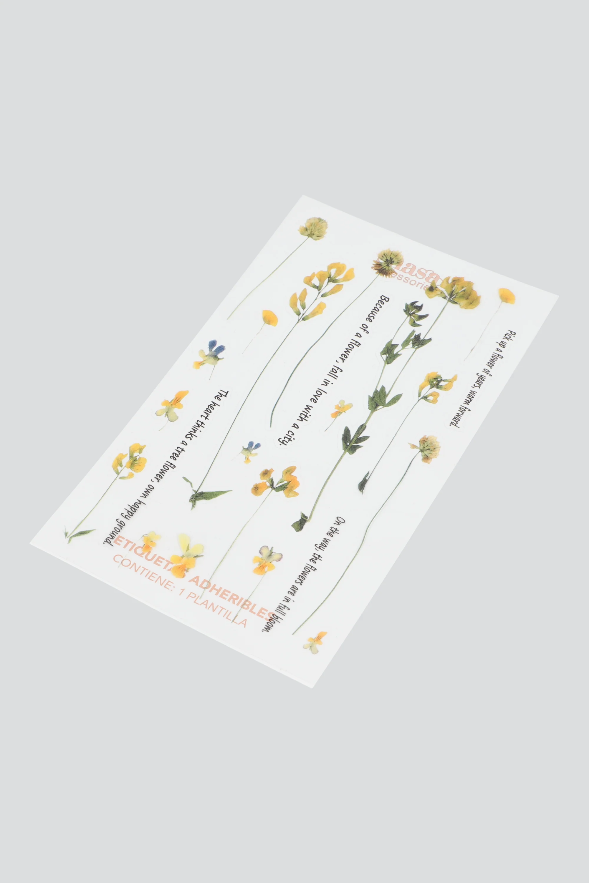 Plantilla stickers plantitas acetato - Image 2
