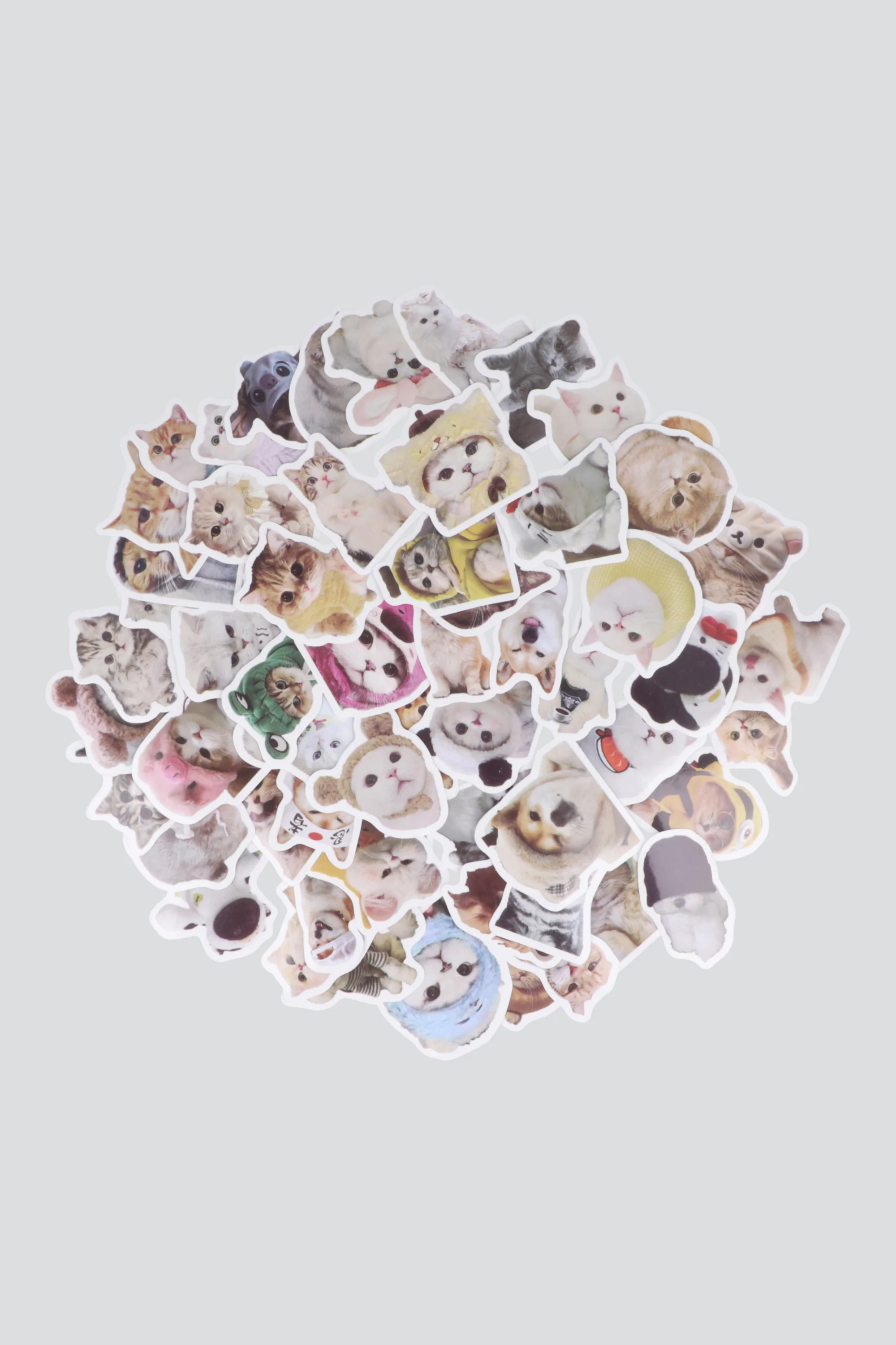 Set 60 stickers gatitos