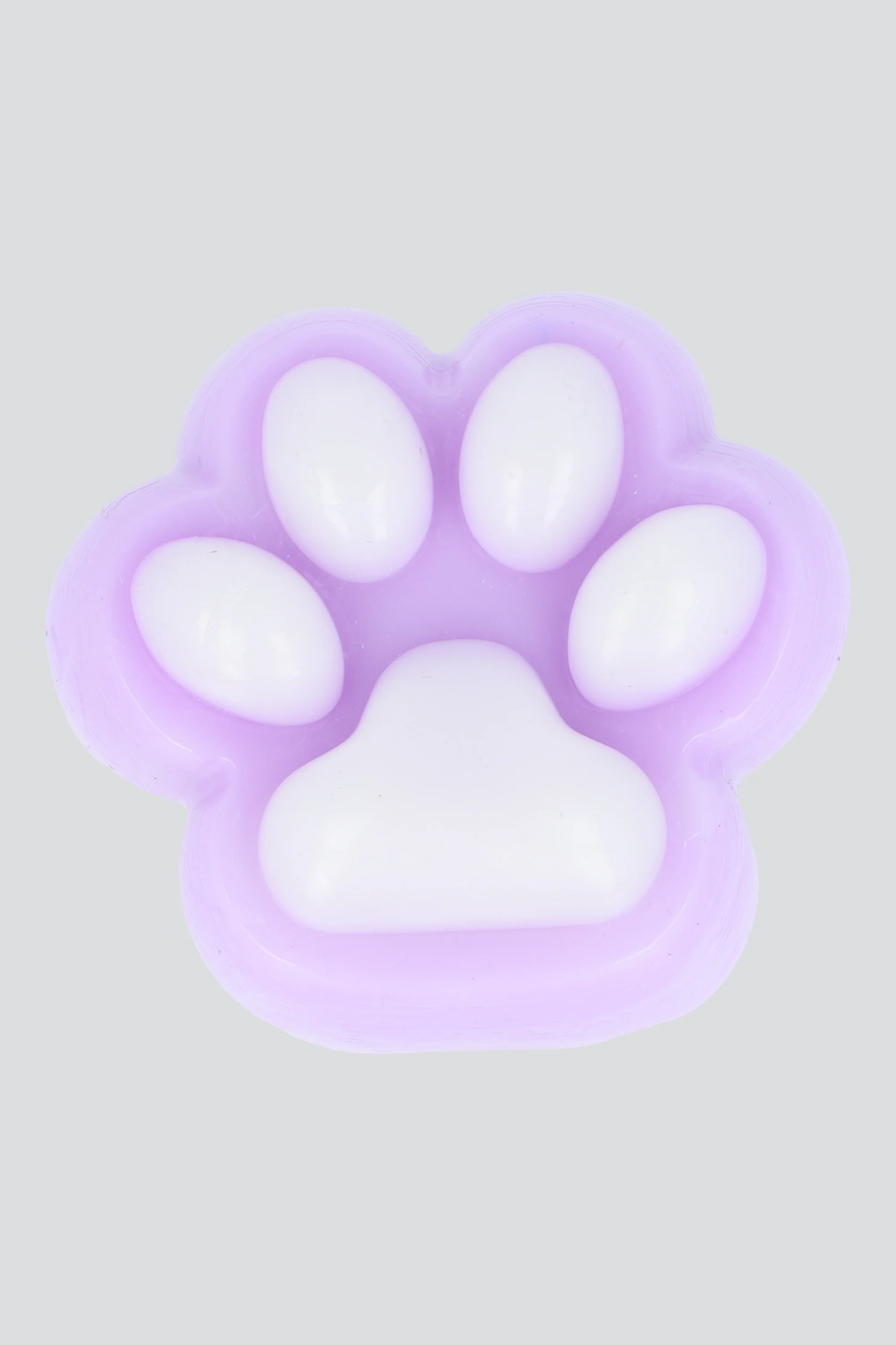 Squishy Huellita Perro
