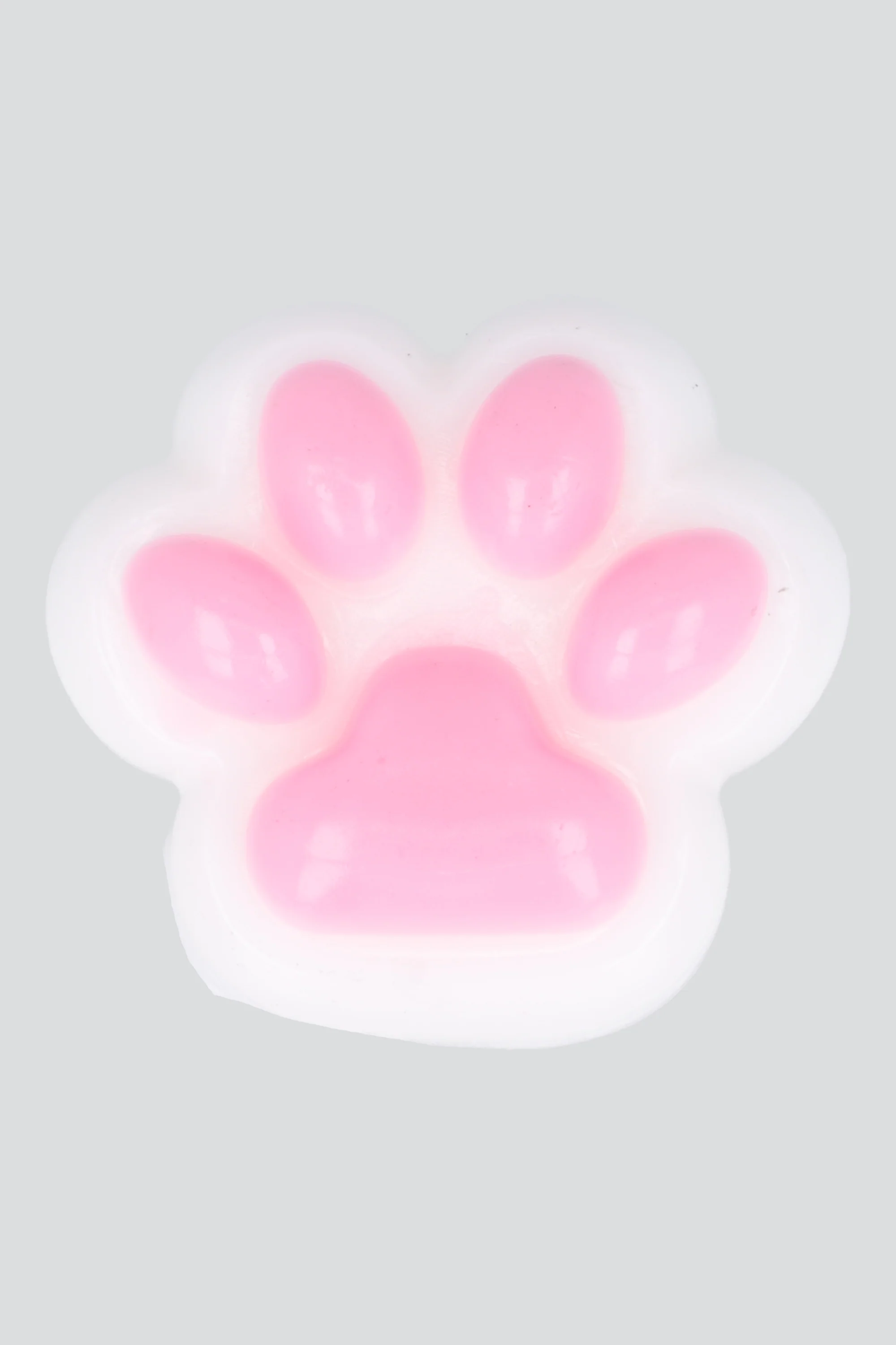 Squishy Huellita Perro