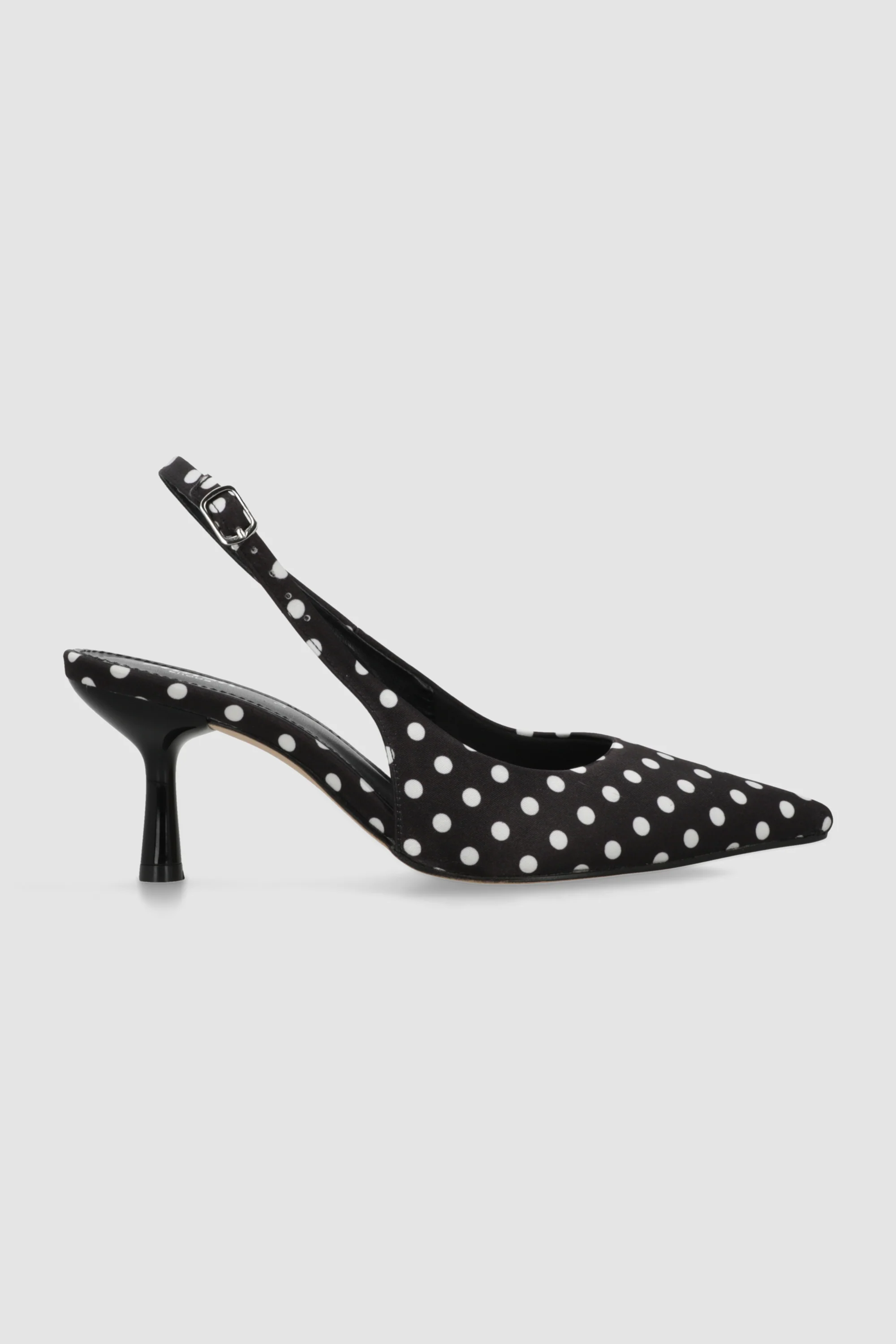 Tacon pointy kitten polkas