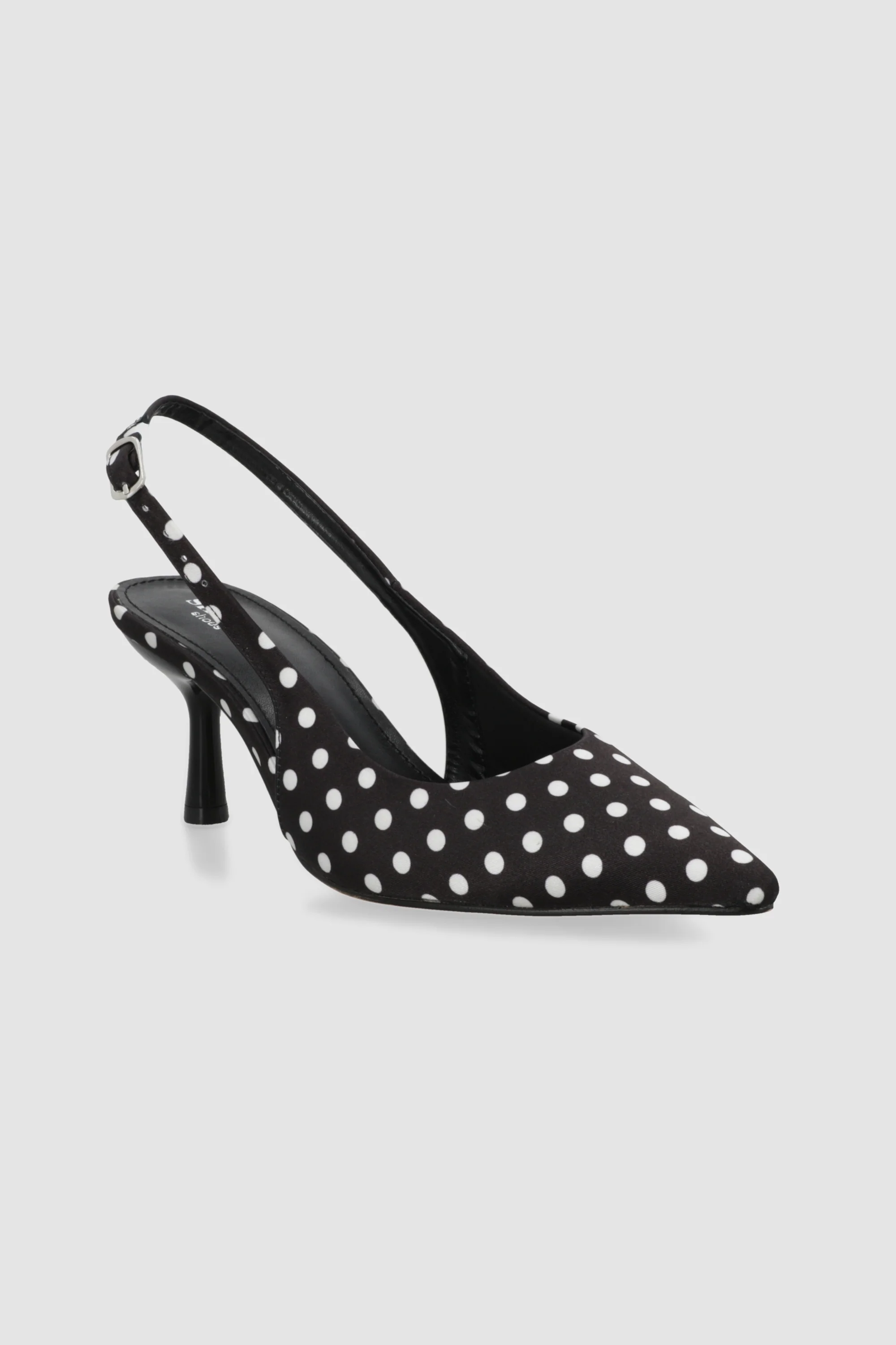 Tacon pointy kitten polkas - Image 4