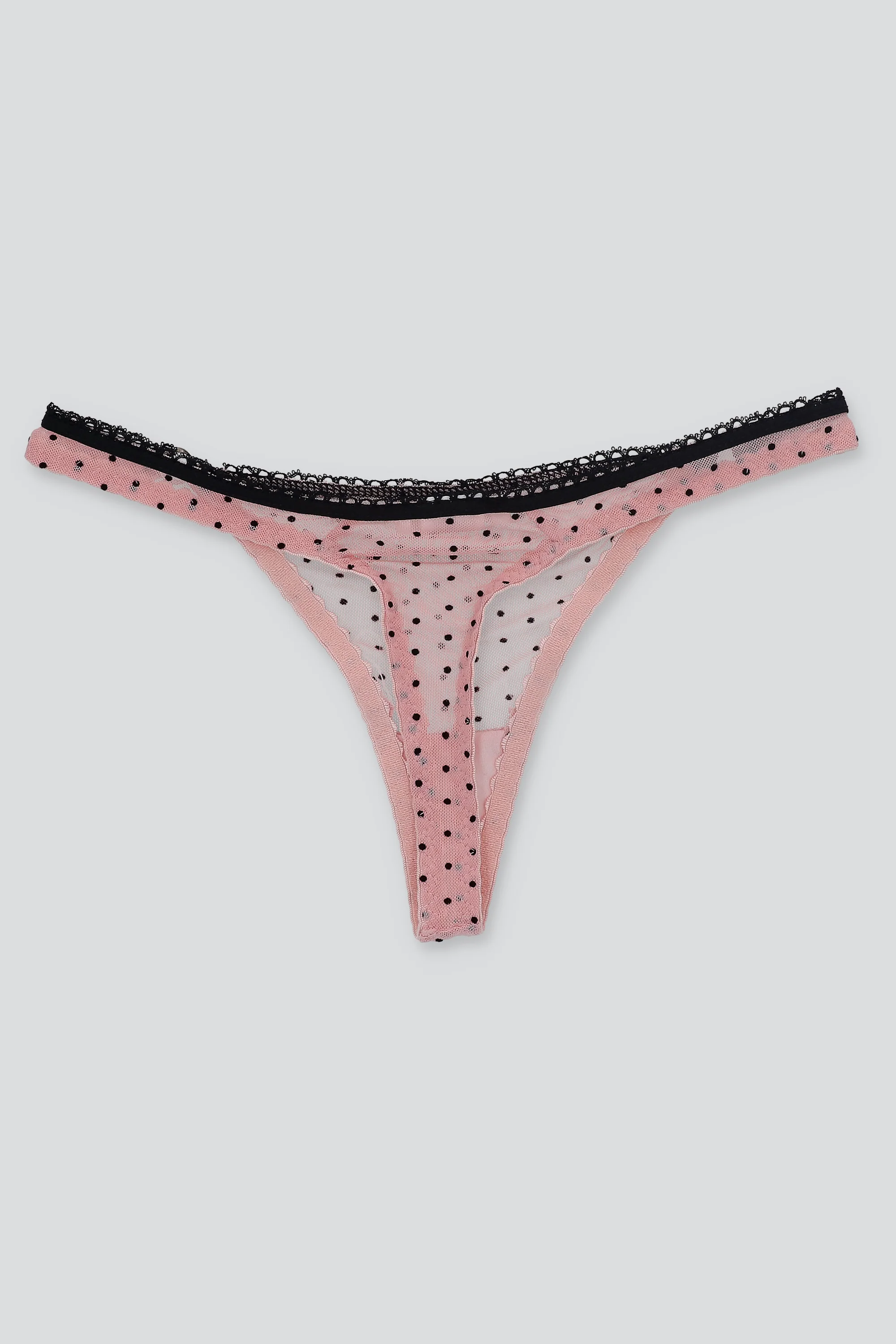 Tanga luniperla picueta - Image 3